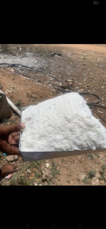 Dessicated Coconut Powder