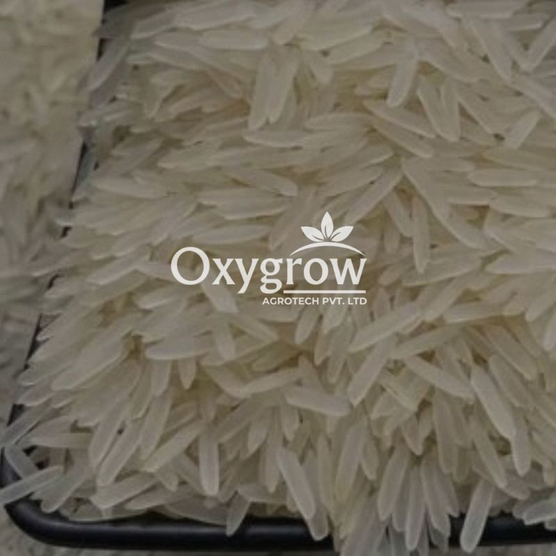 1121 Creamy Sella Basmati Rice