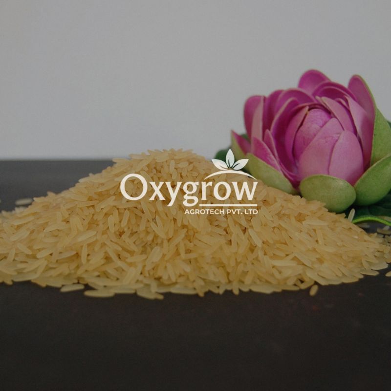 1509 Golden Sella Basmati Rice