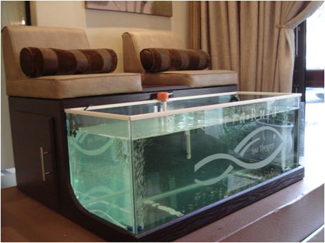 2 Seater Fish Spa Setup