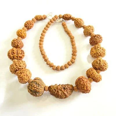 Indonesian 1-14 Mukhi Rudraksha Bracelet