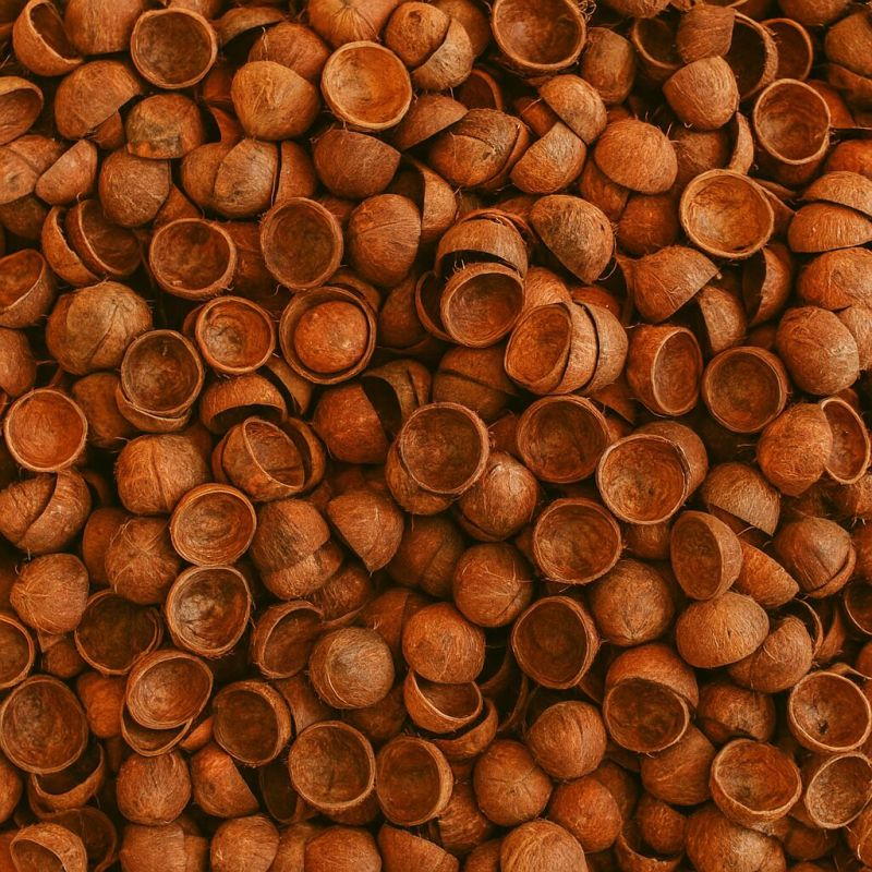 Coconut Shell