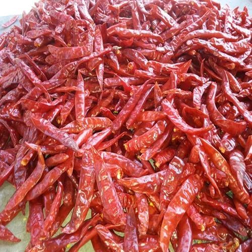 Organic Sannam 334 Dried Red Chilli for Cooking