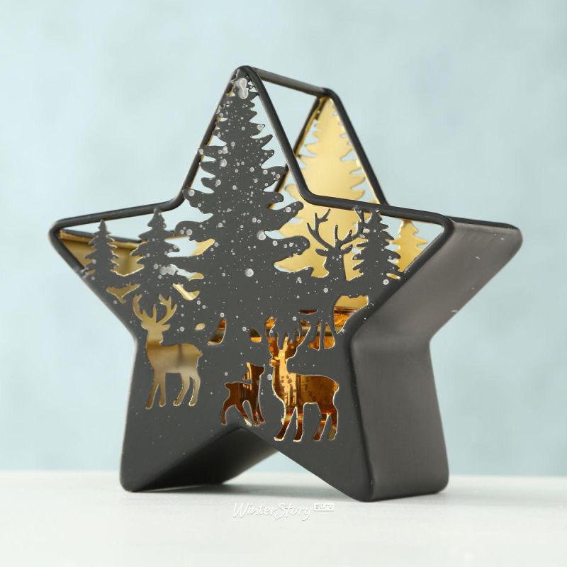 Star Shaped Metal Candle Stand