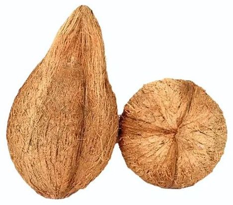 semi husked coconut