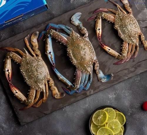 Fresh Blue Crab