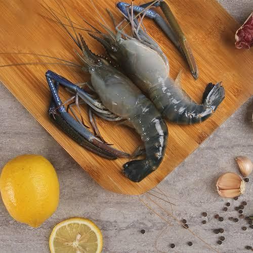 Fresh Scampi Prawn for Cooking