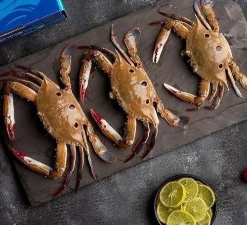 Fresh Three Dotted Crab for Ready To Cook
