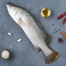 Fresh Whole Sea Bass Fish