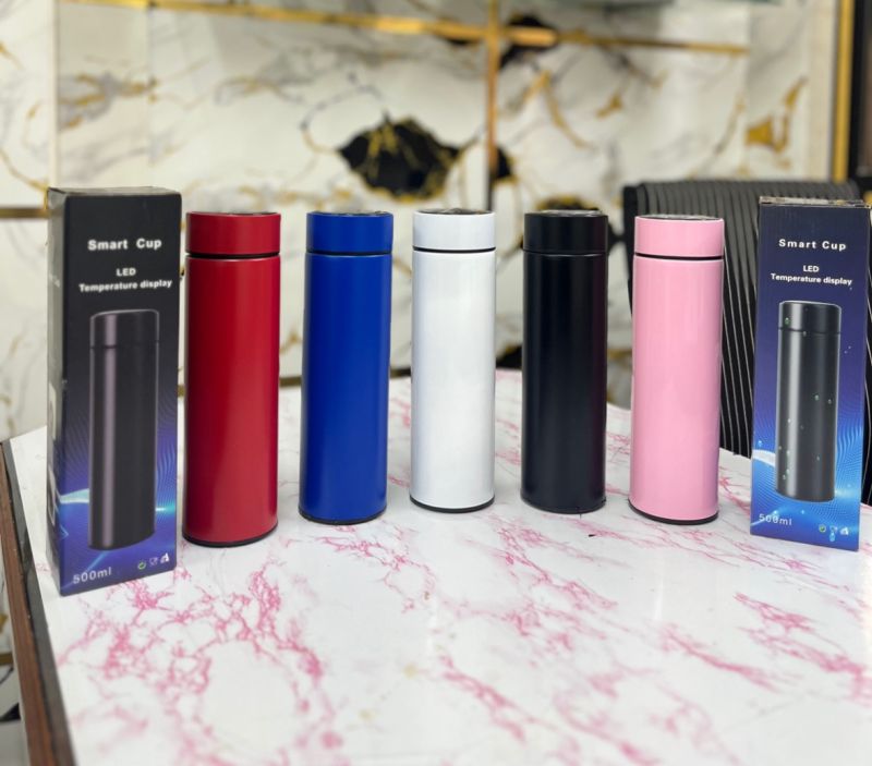 Temperature Water Bottle