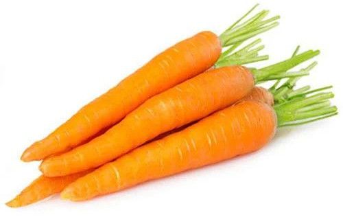 Fresh Carrot, Color : Orange for Cooking