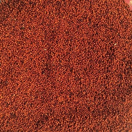 Organic Red Millets, Seed Type : Natural 100%