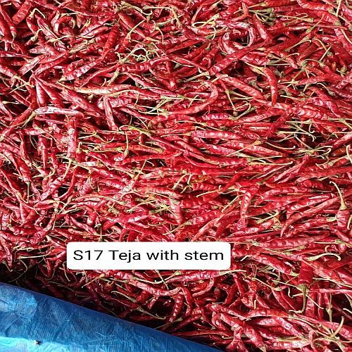 S17 Teja Whole Dry Red Chilli