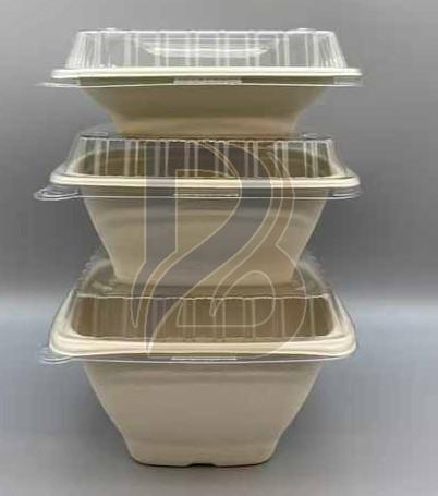 Eco Bagasse Deep Square Container