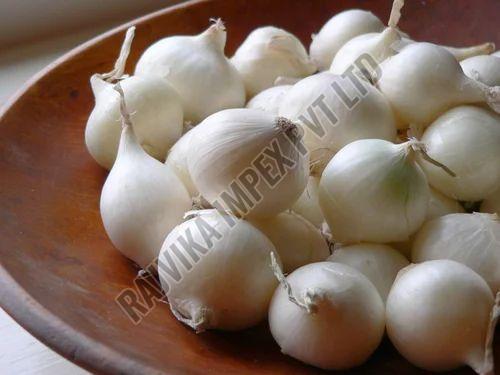 Fresh White Onion, Packaging Size : 25-50kg Mesh Bag