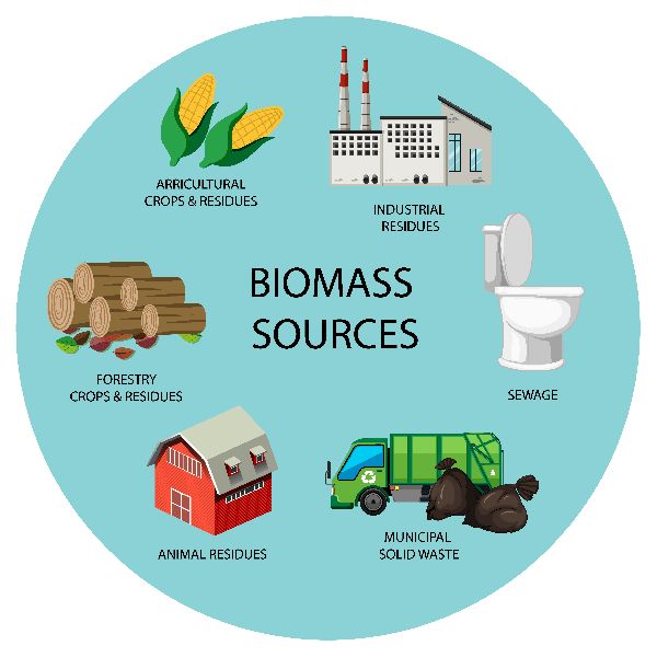 Biomass Subsidy Consultancy