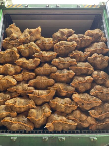 Pure Taste Fresh Coconuts