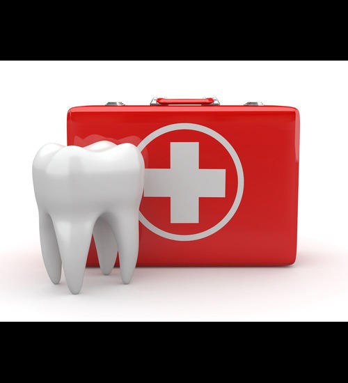 First Aid Training Service 30, Gender : Male, Female