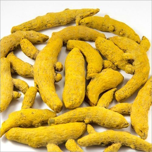 Yellow Natural Turmeric Finger, Packaging Type : 25 Kgs PP Bags