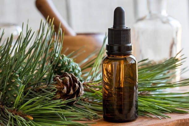 Pine Needle Essential Oil