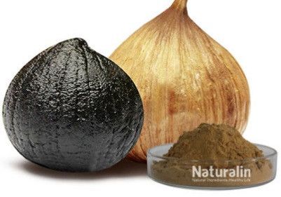 Black Garlic Extract