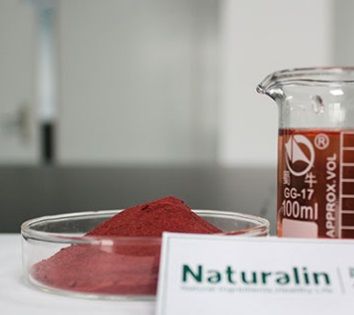 Blackberry Instant Powder for Ideal Making Drinks