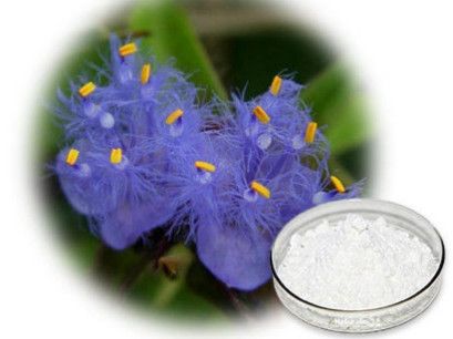 Cyanotis Arachnoidea Extract for Immune Function