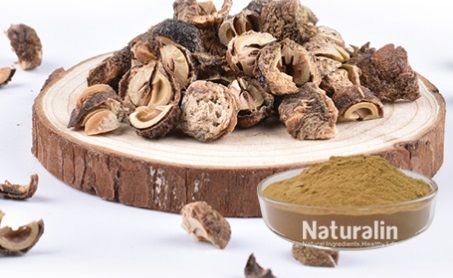 Emblica Officinalis Extract, Packaging Type : Standard Packaging