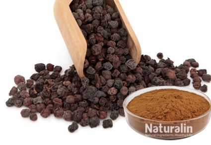 Fructus Schisandra Extract