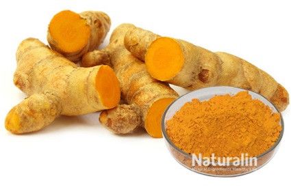 Turmeric Extract, Packaging Type : Sealed Container