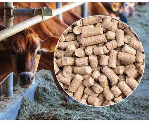Animal Feed Cattle Pro
