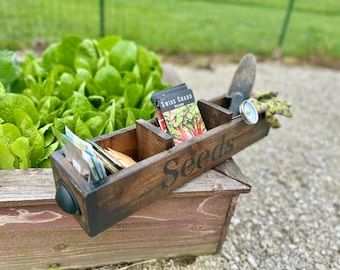 Wooden Caddy for Seeds Morden, Length : 12 Inch