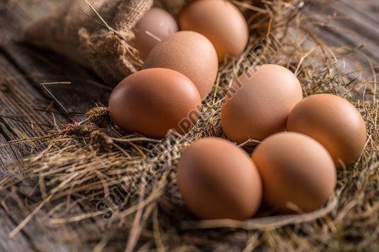 Fresh Brown Eggs