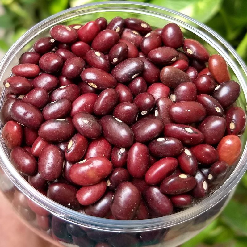 red kidney beans