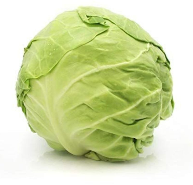 Crisp Green Cabbage