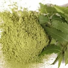 Neem Powder, Packaging Type : 100g / 1kg Packs
