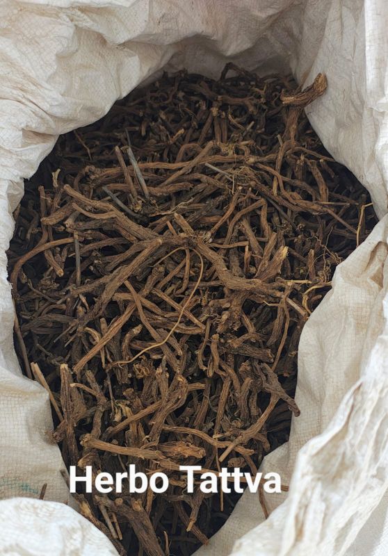 Dandelion Root