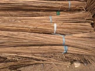 Coconut Broom Stick, Length : 120cm, Packaging Type : Brown