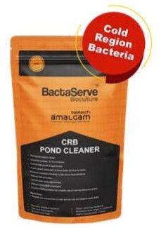 Bactaserve CRB Pond Cleaner