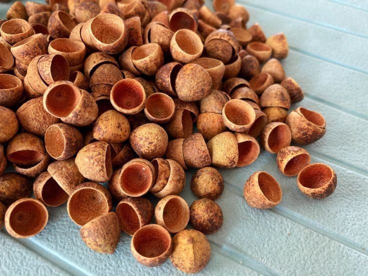 Coconut Shell Manufacturer in Tiruchirappalli Tamil Nadu India image 3