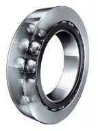 Double Row Ball Roller Bearings in Tandem