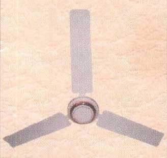 Dynasty Ceiling Fan