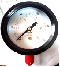 CAPSULE GAUGE