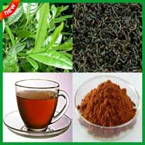 Darjeeling Tea Powder
