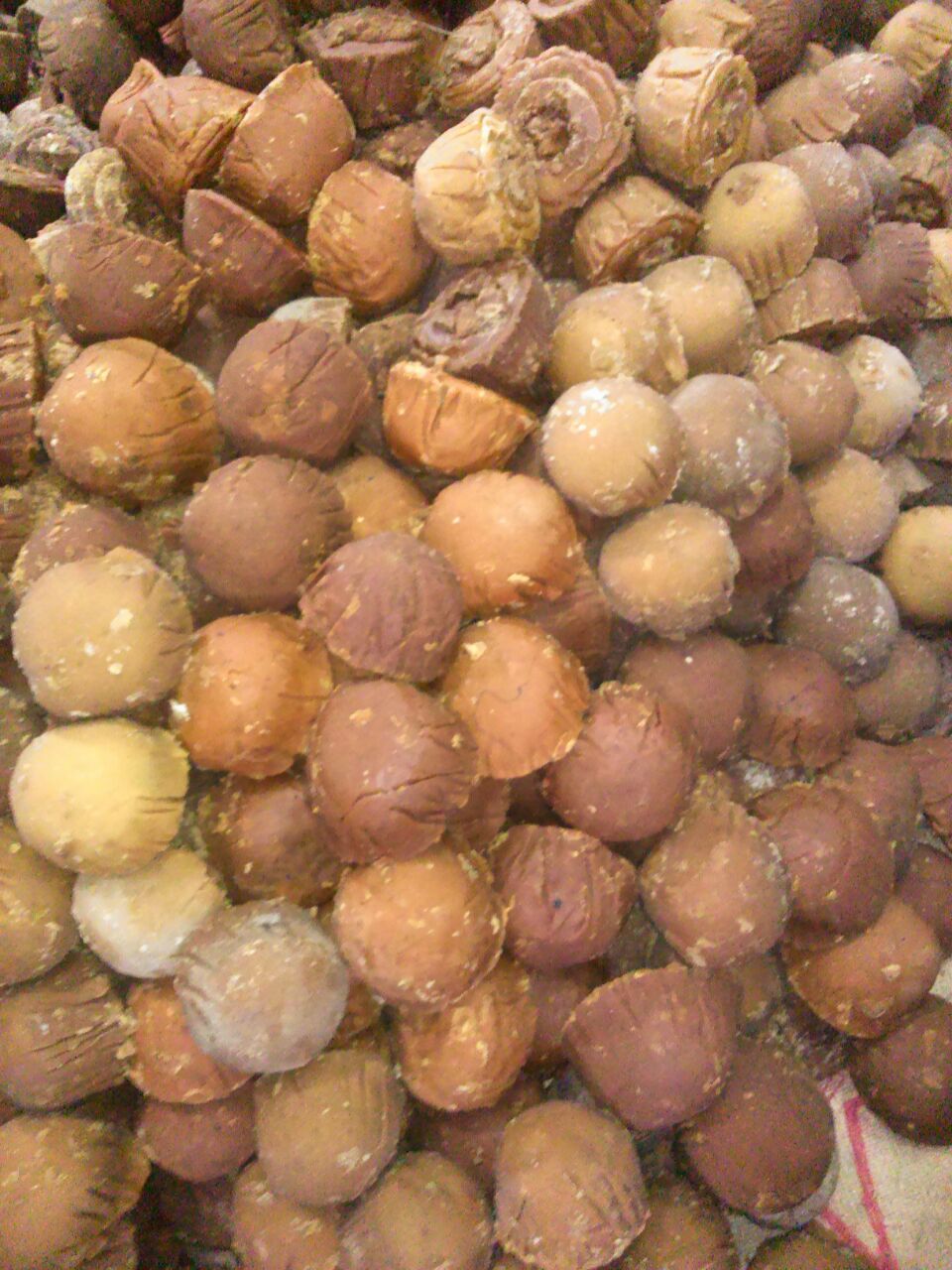 Palm Jaggery