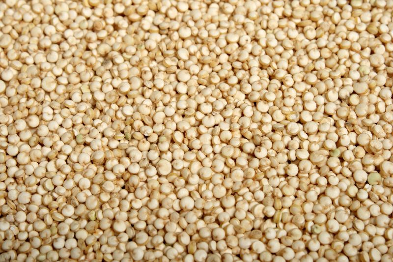 Quinoa Seeds