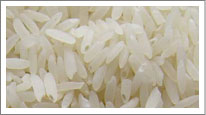 kolam rice