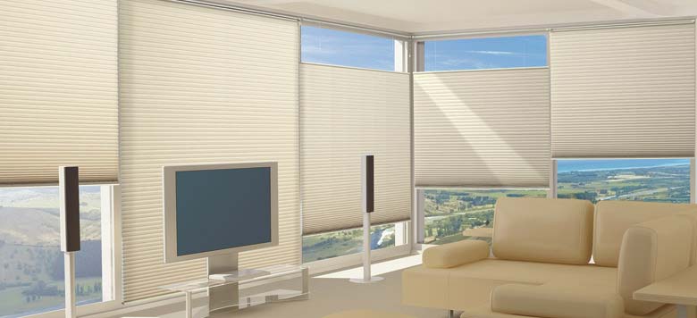 Duette Window Blinds