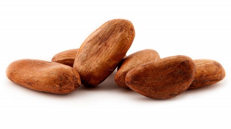 Cocoa Seed Extract (theobromine 10%,20% and 40%)