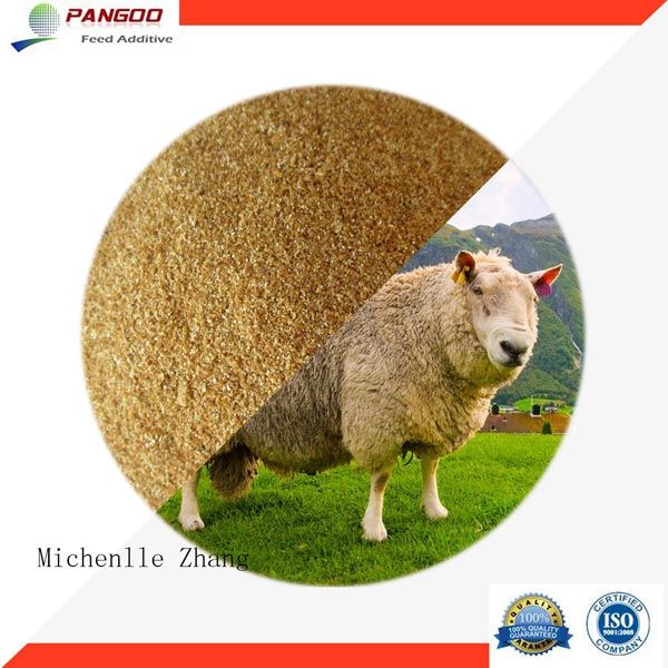 Is Corn Gluten Meal Good For Dogs Is Corn Gluten Meal Good For Dogs